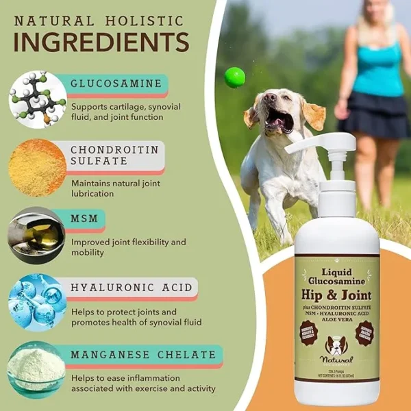 Natural Dog Company Wellness Bundle Food Oil Toppers Including