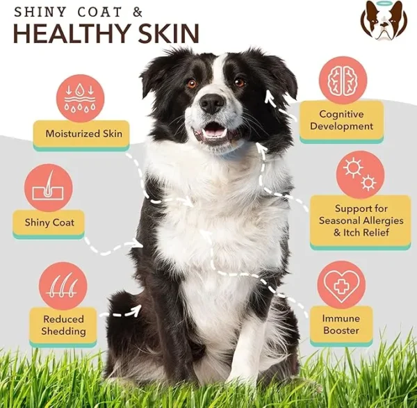 Natural Dog Company Skin & Coat Chews (90-pcs) Bundle with Sensitive Skin