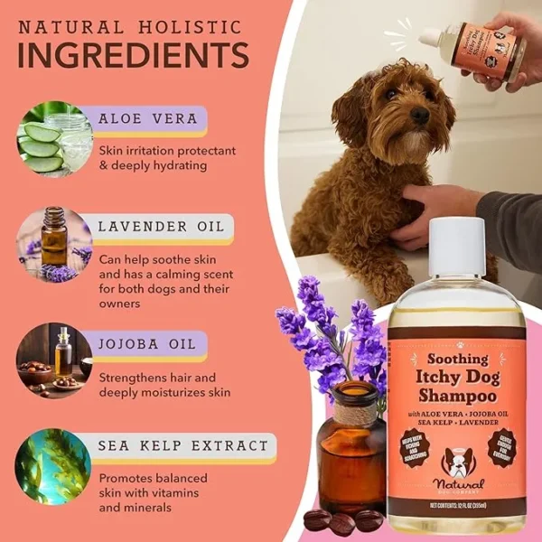 Natural Dog Company Itchy Dog Shampoo