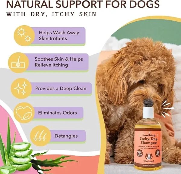 Natural Dog Company Itchy Dog Shampoo