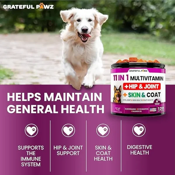 Dog Multivitamin Chewable with Glucosamine